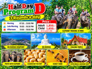 Half Day Program D  3 Rounds a Day