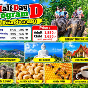 Half Day Program D  3 Rounds a Day